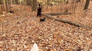 madisonwinterto -  Cumshot Countdown How Many Can She Take On Her Pretty Face