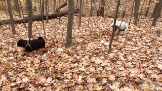 madisonwinterto -  Cumshot Countdown How Many Can She Take On Her Pretty Face