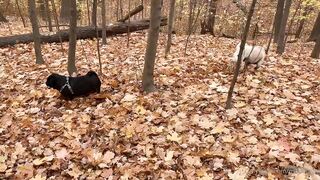 madisonwinterto -  Cumshot Countdown How Many Can She Take On Her Pretty Face