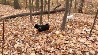 madisonwinterto -  Cumshot Countdown How Many Can She Take On Her Pretty Face