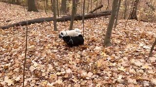 madisonwinterto -  Cumshot Countdown How Many Can She Take On Her Pretty Face