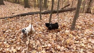 madisonwinterto -  Cumshot Countdown How Many Can She Take On Her Pretty Face