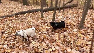 madisonwinterto -  Cumshot Countdown How Many Can She Take On Her Pretty Face