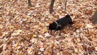 madisonwinterto -  Cumshot Countdown How Many Can She Take On Her Pretty Face