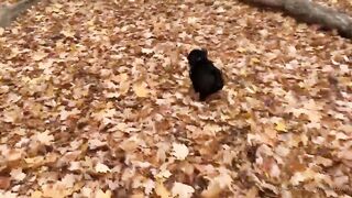 madisonwinterto -  Cumshot Countdown How Many Can She Take On Her Pretty Face