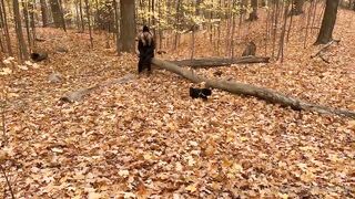 madisonwinterto -  Cumshot Countdown How Many Can She Take On Her Pretty Face