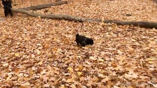 madisonwinterto -  Cumshot Countdown How Many Can She Take On Her Pretty Face