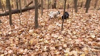 madisonwinterto -  Cumshot Countdown How Many Can She Take On Her Pretty Face