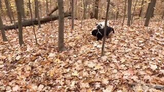 madisonwinterto -  Cumshot Countdown How Many Can She Take On Her Pretty Face