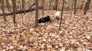 madisonwinterto -  Cumshot Countdown How Many Can She Take On Her Pretty Face