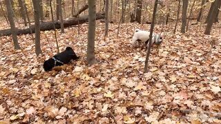 madisonwinterto -  Cumshot Countdown How Many Can She Take On Her Pretty Face