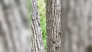 madisonwinterto -  Lesbian Lovers Get Intimate And Explore Each Other's Bodies In Detail