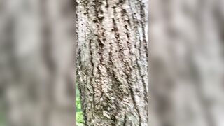 madisonwinterto -  Lesbian Lovers Get Intimate And Explore Each Other's Bodies In Detail