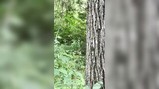 madisonwinterto -  Lesbian Lovers Get Intimate And Explore Each Other's Bodies In Detail