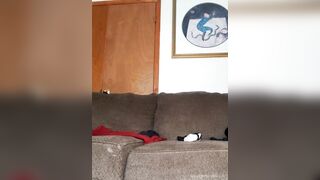 Goodgirlbaybie OnlyFans -  Giantess Tease Trapped in My World