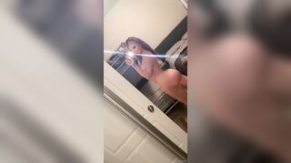 _BambiDoe -  Sexmex's Sensational Sexcapades