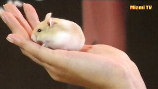 jennyscordamaglia - Cooking au naturel A naked chefs Q&A