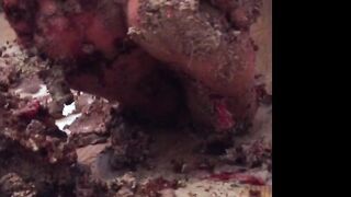 Misstaylynn -  Horny Hotties Solo Masturbation to Satisfaction