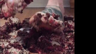 Misstaylynn -  Horny Hotties Solo Masturbation to Satisfaction