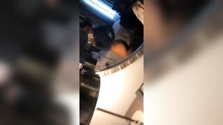 Goddess Marie OnlyFans - Exotic Beauty's Erotic Solo Playtime