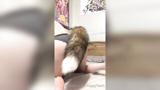 Puppyteeth Leaks -  Alluring Antics