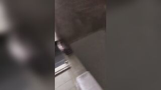 Alla Montchak -  The Path of Enlightenment Awakening the Consciousness