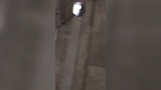 Alla Montchak -  The Path of Enlightenment Awakening the Consciousness