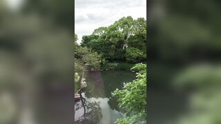 Alla Montchak -  The Path of Enlightenment Awakening the Consciousness