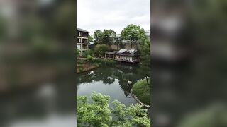 Alla Montchak -  The Path of Enlightenment Awakening the Consciousness