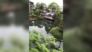 Alla Montchak -  The Path of Enlightenment Awakening the Consciousness