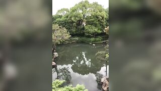 Alla Montchak -  The Path of Enlightenment Awakening the Consciousness