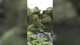 Alla Montchak -  The Path of Enlightenment Awakening the Consciousness