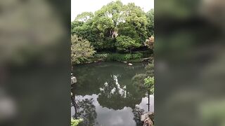 Alla Montchak -  The Path of Enlightenment Awakening the Consciousness