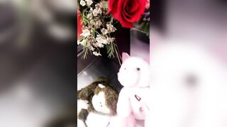 Nikki Benz Leaked - Breathtaking Desires