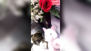 Nikki Benz Leaked - Breathtaking Desires