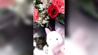 Nikki Benz Leaked - Breathtaking Desires