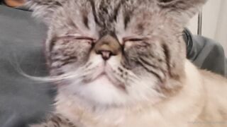 es.lain or yummy yum yum or yummy_yum-yum - Ravishing Euphoria