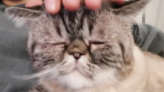 es.lain or yummy yum yum or yummy_yum-yum - Ravishing Euphoria