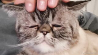 es.lain or yummy yum yum or yummy_yum-yum - Ravishing Euphoria