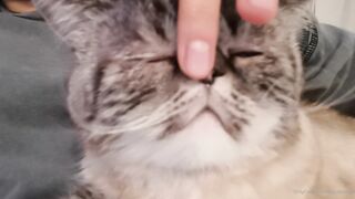 es.lain or yummy yum yum or yummy_yum-yum - Ravishing Euphoria