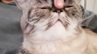 es.lain or yummy yum yum or yummy_yum-yum - Ravishing Euphoria