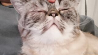 es.lain or yummy yum yum or yummy_yum-yum - Ravishing Euphoria