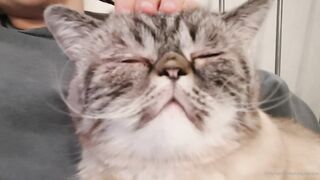 es.lain or yummy yum yum or yummy_yum-yum - Ravishing Euphoria