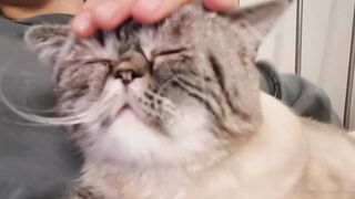 es.lain or yummy yum yum or yummy_yum-yum - Ravishing Euphoria