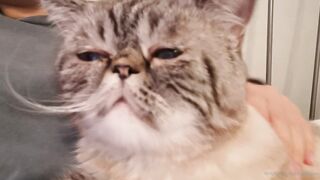 es.lain or yummy yum yum or yummy_yum-yum - Ravishing Euphoria