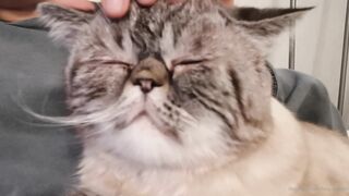 es.lain or yummy yum yum or yummy_yum-yum - Ravishing Euphoria