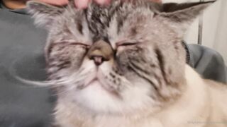 es.lain or yummy yum yum or yummy_yum-yum - Ravishing Euphoria