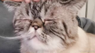 es.lain or yummy yum yum or yummy_yum-yum - Ravishing Euphoria