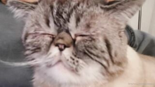 es.lain or yummy yum yum or yummy_yum-yum - Ravishing Euphoria