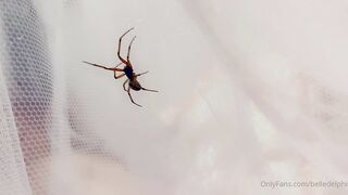 Belle Delphine (Belledelphine) Cosplay OnlyFans Leaks Girl Porn Video 1788